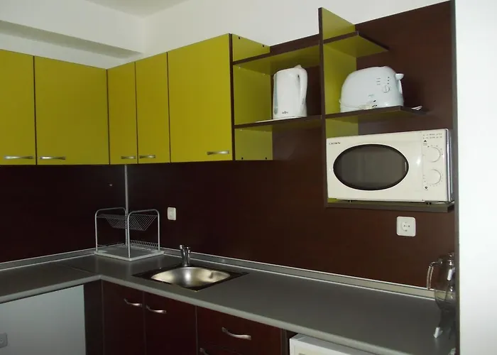 Grand Kamelia 公寓 阳光海滩